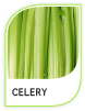 Products Celery