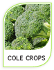 Products Cole