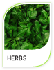 Products Herbs