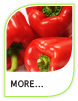 Products More