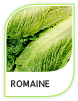 Products Romaine