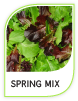 Products Spring Mix