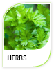 Products Herbs