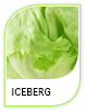 Products Iceberg