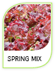 Products Spring Mix