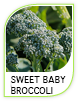 Products Romaine